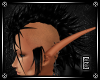[E] Qi :: Fin
