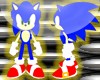 Sonic Pet