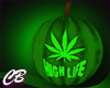 CB HighLife Pumpkin G