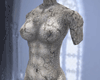 (NA) Venus de Milo Bust
