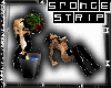 [TDK]Sponge-Strip-2Poses