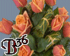 orange roses