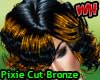 Pixie Cut Hair Bronze