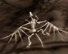 A-Dragon Skeleton Ruins 