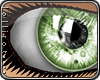 *L� iGlass Moss