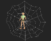 Spider Web