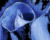 [MD] Blue Rose