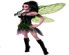 fairy salmi