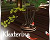[kk] MARABOU Plant