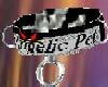 [DR] Angelic pet
