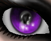 [D] Stahr Purple F