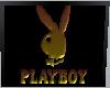 Playboy Screen