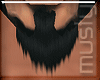 ^M^ Black Beard