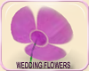 MLM JOR Wedding Daisies