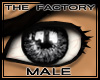 TF Sublime Eyes Gray