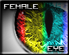 [SLW] Rainbow Feline