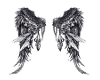 {PN} Mixed Wings