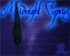 Cyprus Tree L Midnight