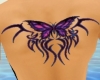 Tattoo Butterfly Purp HB