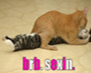 brb sexin