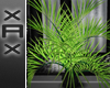 !Ani-Toxic Plant