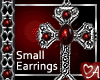 Small Earrings