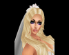 Bridel Hair Veil
