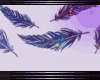 Feathers