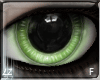 Z7 Spring Doll F