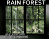 RAINING ANIMATED WINDOW