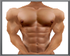 BIG MUSCLE + SEXY BODY