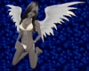 Temis26 Angel