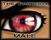 TF Stunning Eyes Red