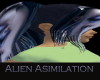 Alien Assimilation