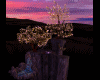 ROMANTIC SUNSET
