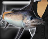 ICO Megs Swordfish