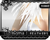 [?] Dawn Queen Fur
