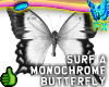 BFX Surf Monochrome BF