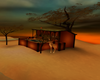 African Warmth