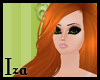 [iza] Savannah ginger
