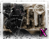 ~AA~ City Kitty Postcard