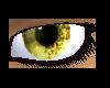 Wolf Brother eyes female