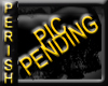!P!EmbroideredLeatherCh