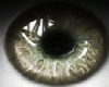t| Hazel Shine Eyes F