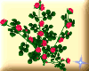 Product Image for 3-Arm Love Rose
