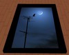 *AN* Cat and the Moon