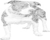 pit bull pencil sketch