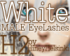H2*l MALE EyeLashes W
