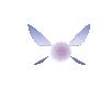 Dream Fairy