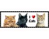 [G9] i love cats